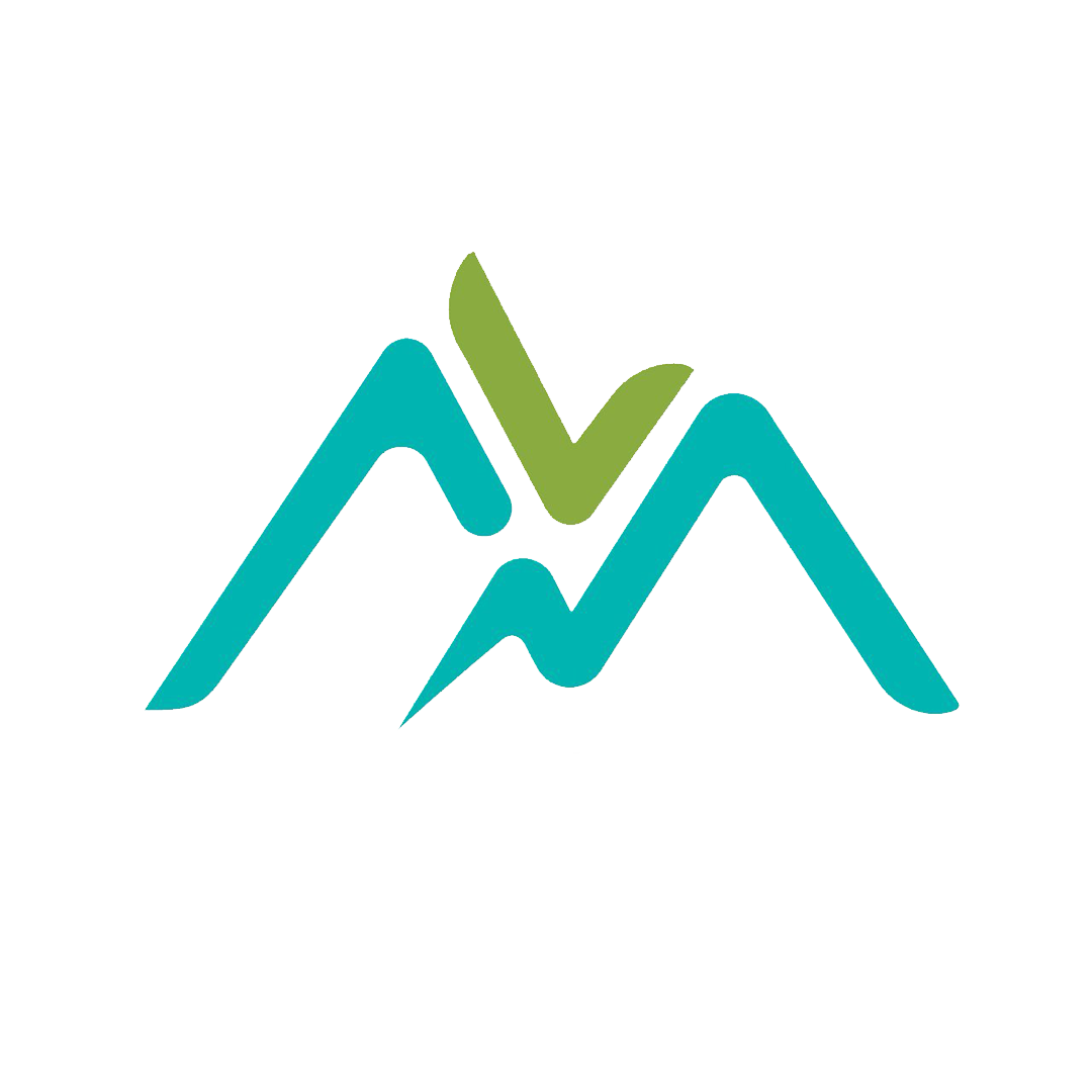 AVM